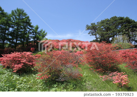 Tatsukayama 59370923