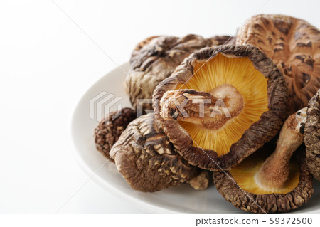 乾香菇白色背景 59372500