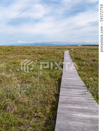 Summer scenery at Hamanasu-no-Oka Park, Ishikari, Hokkaido, at the mouth of the Ishikari River. Summer scenery at Hamanasu-no-Oka Park, Ishikari, Hokkaido, at the mouth of the Ishikari River. 59372759