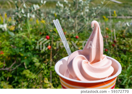 Hamanasu no Oka Park in Ishikari, Hokkaido: Hamanasu soft serve ice cream Hamanasu no Oka Park in Ishikari, Hokkaido: Hamanasu soft serve ice cream 59372770