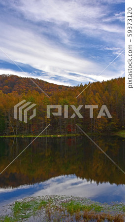 信州的秋天 59373120