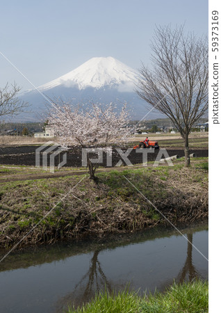 富士山村的春天 富士山村的春天 59373169