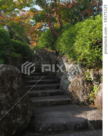 箱根美術館 59375125