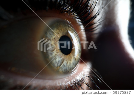 Human green eye supermacro closeup background Human green eye supermacro closeup background 59375887