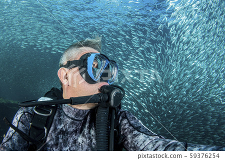 diver underwater selfie inside sardines bait ball 59376254