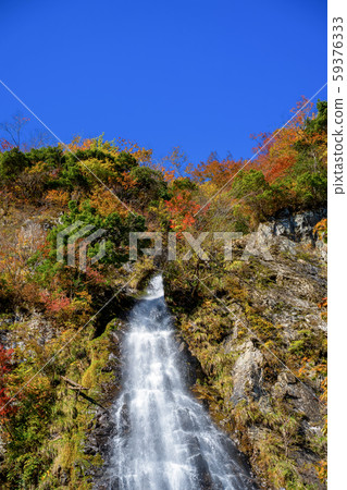 Autumn leaves of Amataki valley Autumn leaves of Amataki valley 59376333