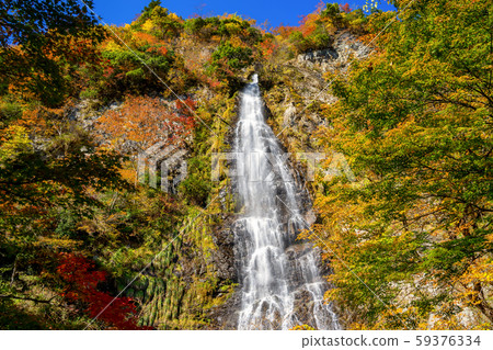 Autumn leaves of Amataki valley Autumn leaves of Amataki valley 59376334