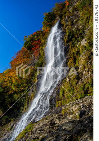 Autumn leaves of Amataki valley Autumn leaves of Amataki valley 59376343