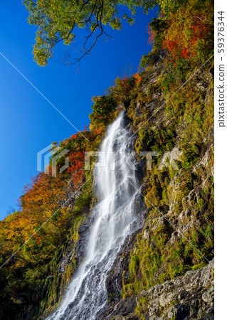 Autumn leaves of Amataki valley 59376344