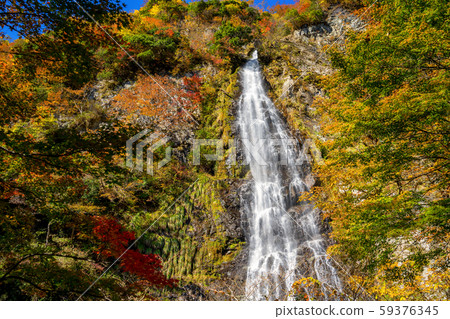 Autumn leaves of Amataki valley 59376345