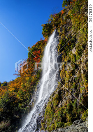 Autumn leaves of Amataki valley Autumn leaves of Amataki valley 59376359
