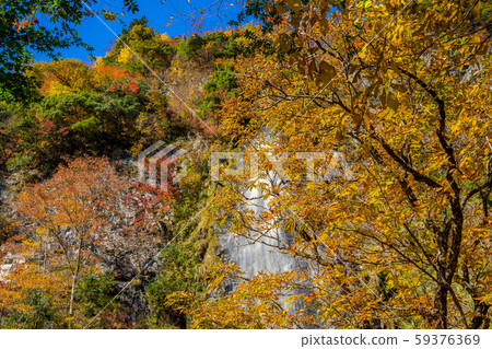 Autumn leaves of Amataki valley Autumn leaves of Amataki valley 59376369