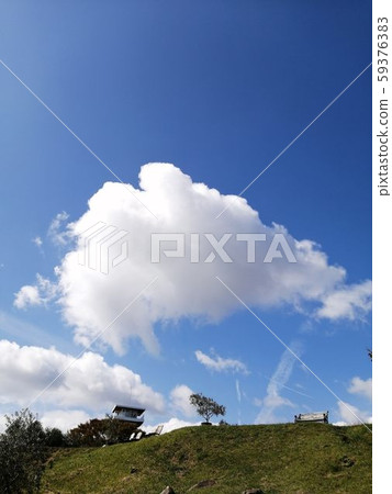 橄欖園與雲 橄欖園與雲 59376383