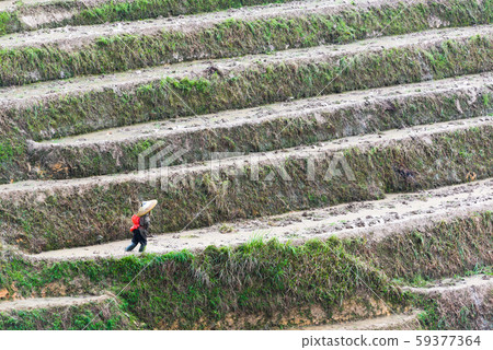 Guilin, China Rice Terrace Guilin, China Rice Terrace 59377364