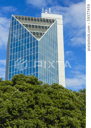 New Zealand Palmerston North cityscape New Zealand Palmerston North cityscape 59377459