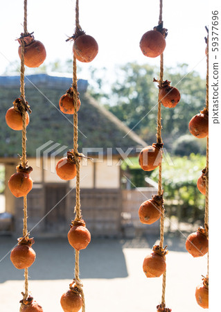 Dried persimmon under the farmhouse eaves 59377696
