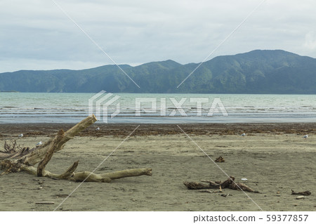 從帕拉帕拉烏姆海灘,新西蘭看到的卡皮蒂島 從帕拉帕拉烏姆海灘,新西蘭看到的卡皮蒂島 59377857