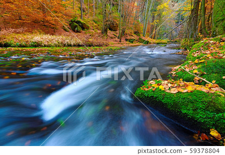 Boulders with orange dots of beeches and maple Boulders with orange dots of beeches and maple 59378804