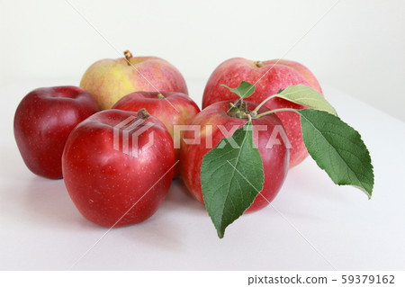 秋天的形象 59379162