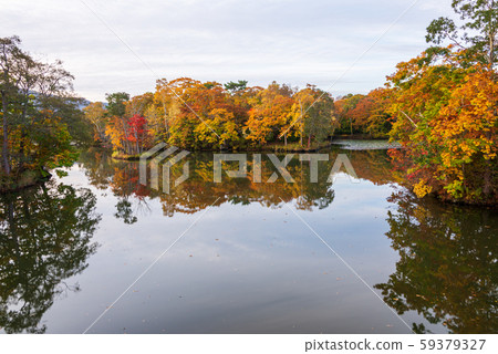 Lakeside of Nishiki autumn 59379327