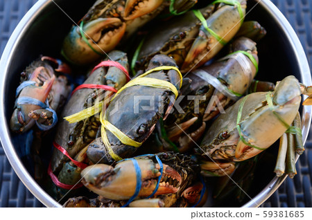 Mud crab prepare to sell in the market Mud crab prepare to sell in the market 59381685