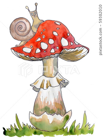 Amanita, poisonous mushroom, hand drawn watercolor illustration Amanita, poisonous mushroom, hand drawn watercolor illustration 59382010