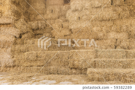 dry rice haystack in the haymow 59382289
