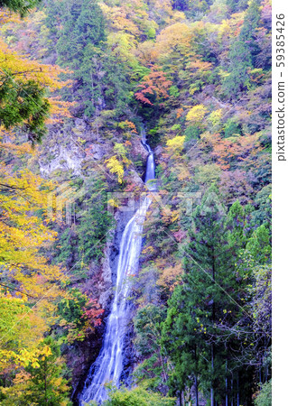 秋天的Marugami Falls(垂直) 秋天的Marugami Falls(垂直) 59385426