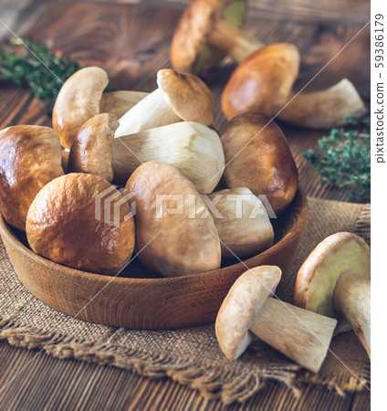 Bowl of porcini mushrooms 59386179