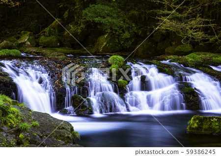 Kikuchi Valley begins to dye autumn colors 59386245
