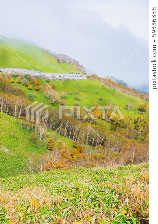 Venus Line: Patchwork-like scenery: Autumn Venus Line: Patchwork-like scenery: Autumn 59386338