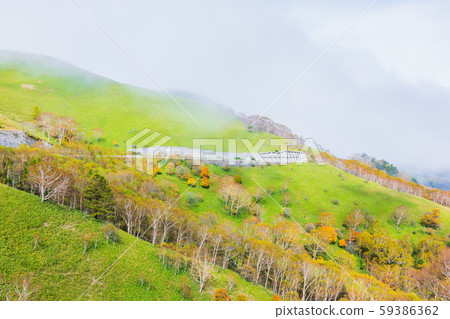 金星線：錯落有致的風景：秋天 59386362