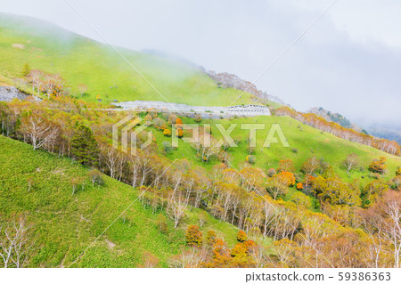 金星線:錯落有致的風景:秋天 金星線:錯落有致的風景:秋天 59386363