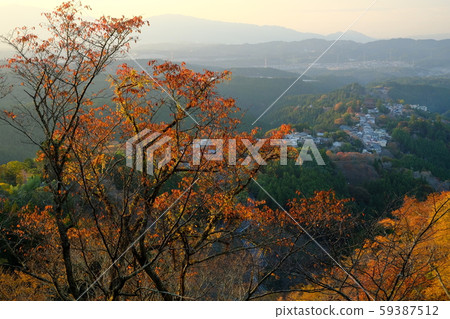 秋天的吉野山夜景(奈良吉野郡吉野町) 秋天的吉野山夜景(奈良吉野郡吉野町) 59387512