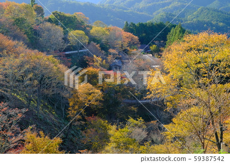 秋天的吉野山夜景(奈良吉野郡吉野町) 秋天的吉野山夜景(奈良吉野郡吉野町) 59387542