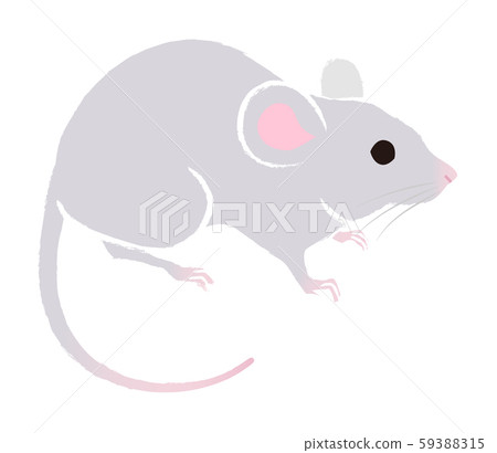 Rat-new year's card material Rat-new year's card material 59388315