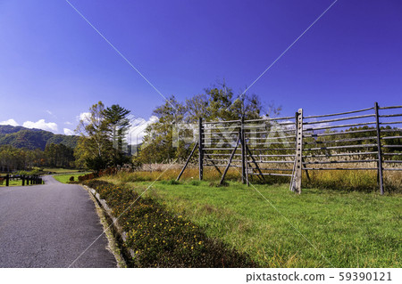 （長野縣）ida田高原，木曾馬村與美麗的紅葉 59390121