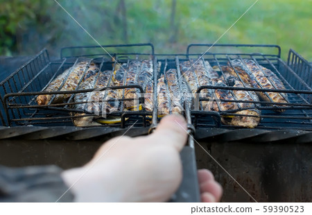 hand view of a man holding a barbecue grill with fried fish with lemon on the chargrill outdoors on the nature 59390523