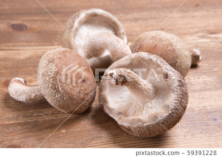 Meat thickness Donko Shiitake production Meat thickness Donko Shiitake production 59391228