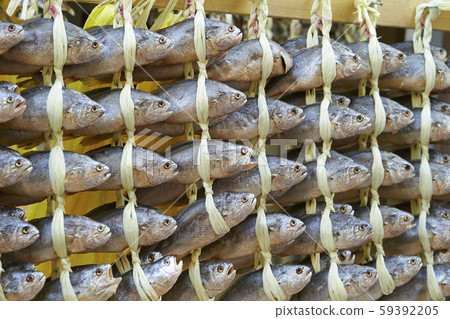Dried fish Dried fish 59392205