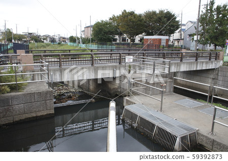 Minuma substitute water east edge (the most downstream, Maonaga River confluence) 59392873