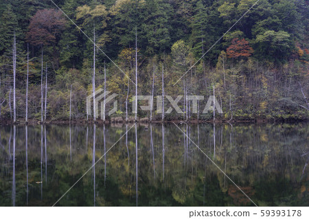 （長野）大垣村自然湖傍景 59393178