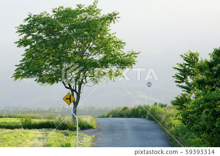 Plateau Road, Morning Plateau Plateau Road, Morning Plateau 59393314