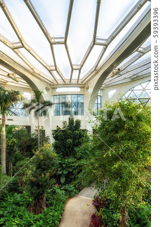 seoul botanic park tropical seoul botanic park tropical 59393396