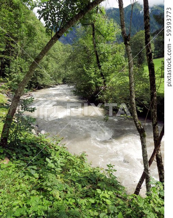 Swiss mountain stream, the River Seeds flowing in the Weissternen valley (St. Gallen) 59393773
