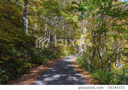 國道291號前往倉之澤 國道291號前往倉之澤 59394355