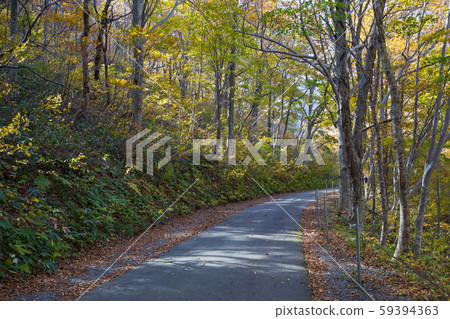 National Highway 291 heading for Kuranosawa 59394363