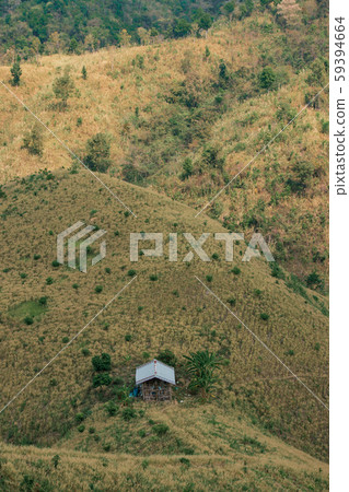 The concept of deforestation consists of destroyed The concept of deforestation consists of destroyed 59394664