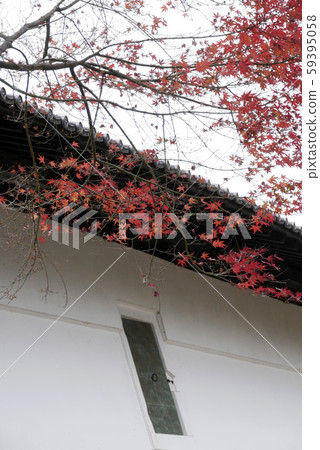 Landscape natural plant building photograph, late fall of Iwate Park, Morioka City, Iwate, Museum and autumn leaves 59395058