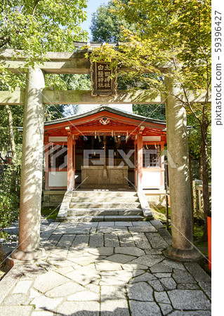 kyoto, autumn, autumnal 59396427